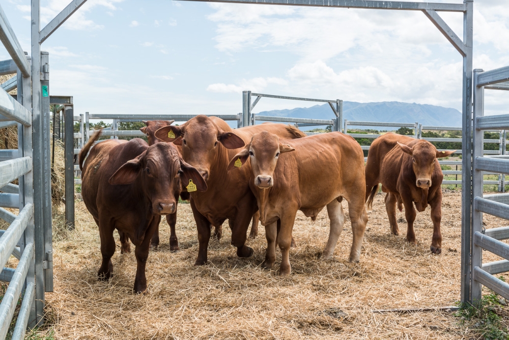 offre d'emploi professeur.e productions agricoles-zootechnie lycée Michel-Rocard