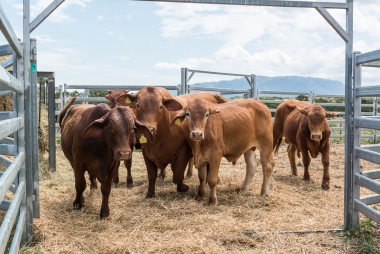 offre d'emploi professeur.e productions agricoles-zootechnie lycée Michel-Rocard
