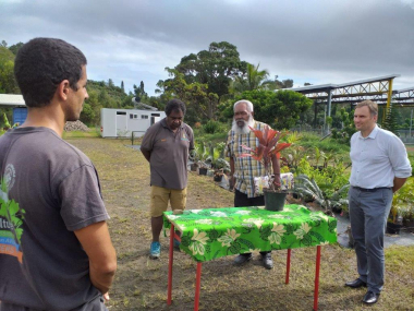 Maxime Jeandel, proviseur du lycée du Mont-Dore, présente le jardin kanak paysagé aux coutumiers