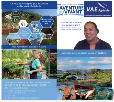 Image prospectus VAE 2025